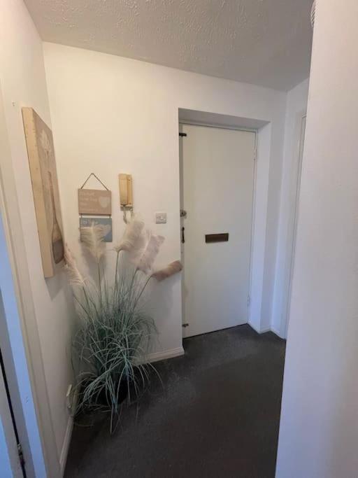 Private Apt Close To Train Station ลอนดอน ภายนอก รูปภาพ